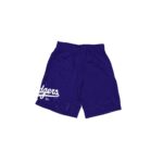 Los Angeles Dodgers Summer Shorts - Image 3