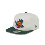 Green Bay Packers Pro Bowl Patch Golfer Hat - Image 3