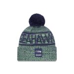 Seattle Seahawks 2025 Sideline Cold Weather Pom Knit Hat