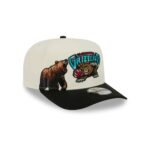 Vancouver Grizzlies 1995-2001 Hardwood Classics Chrome White 9FIFTY A-Frame Snapback Hat - Image 3