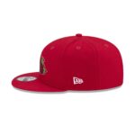 Cinco de Mayo Roses 9FIFTY Snapback Hat - Image 4